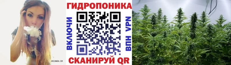 Как найти наркотики Тотьма Cocaine  Бошки Шишки  Меф  Амфетамин  КЕТАМИН  Гашиш 
