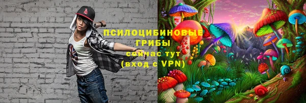 первитин Белокуриха