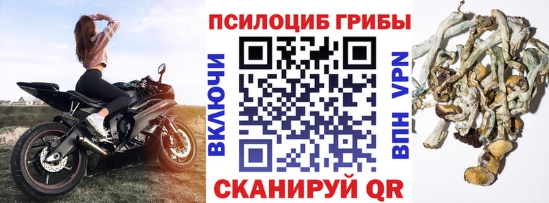 Псилоцибиновые грибы Magic Shrooms  Тотьма 